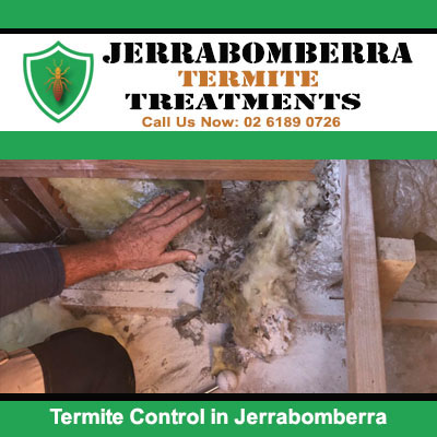 Termite control to wooden structural timber in Jerrabomberra