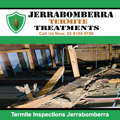 Termite inspection to wooden structural beam in Jerrabombera