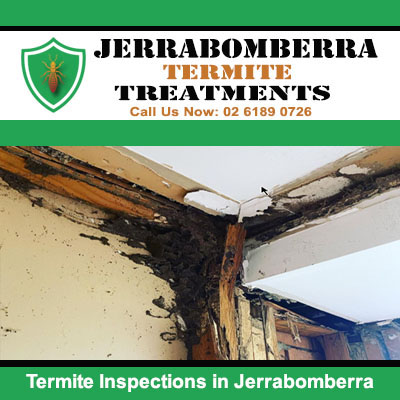 Termite inspection to ceiling corner in Jerrabombera